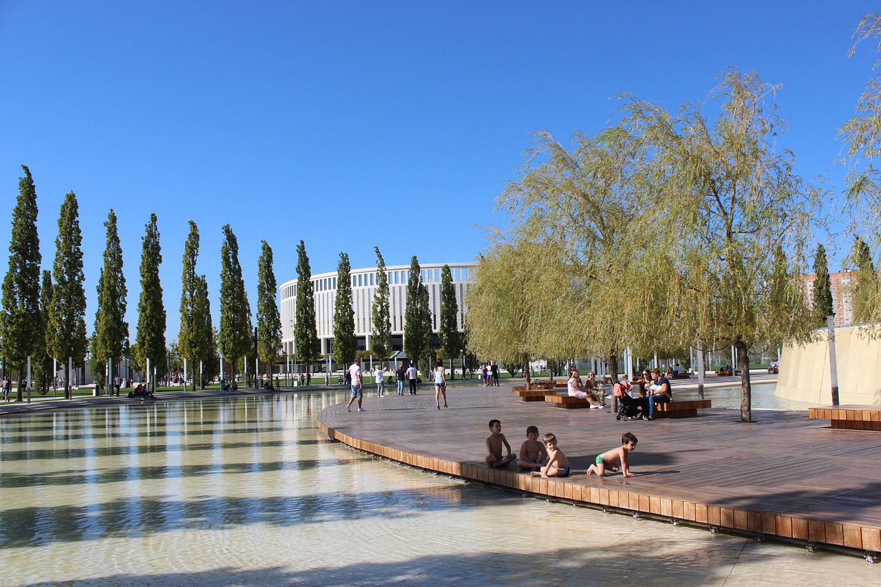 球迷视角 球迷视角