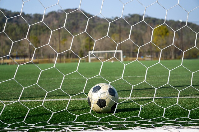 张伯伦无疑 张伯伦无疑